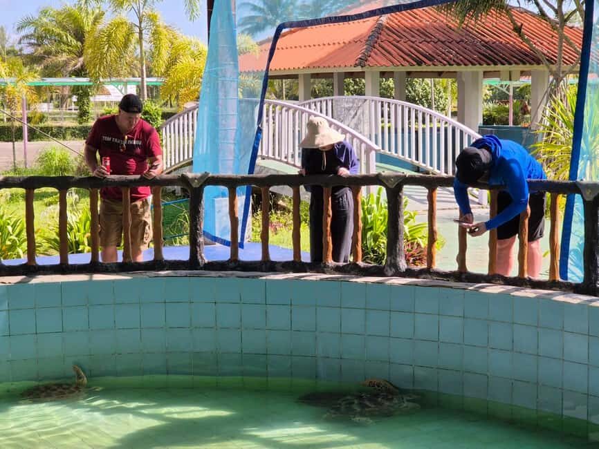 Khao Lak: Waterfall,Sea Turtle,Elephant Care,Meal & Transfer - Visiting Sai Rung Waterfall: A Refreshing Break