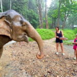 Khao Sok: Private Ethical Elephant Sanctuary Adventure - What’s Included and Why It Matters