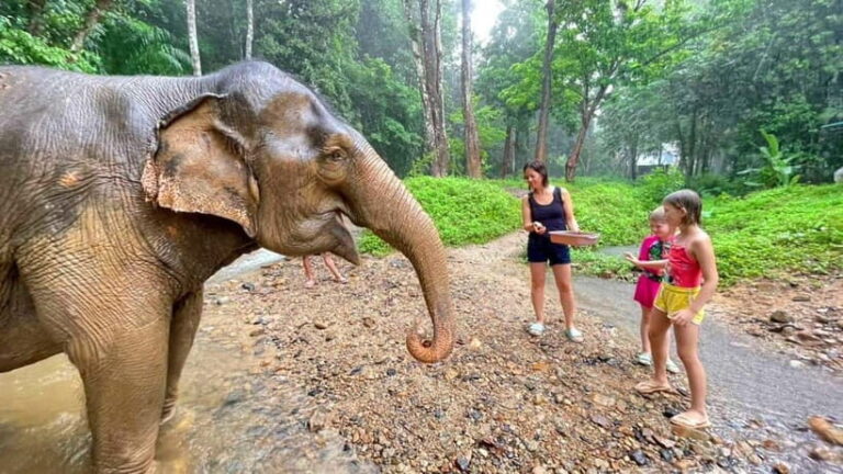Khao Sok: Private Ethical Elephant Sanctuary Adventure - What’s Included and Why It Matters