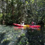 Klong Rud Kayaking with Hotel Transfer - Who Would Love This Tour?