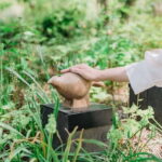 Kobe: Rokko Forest Sound Museum Admission Ticket - Practical Tips for Visiting