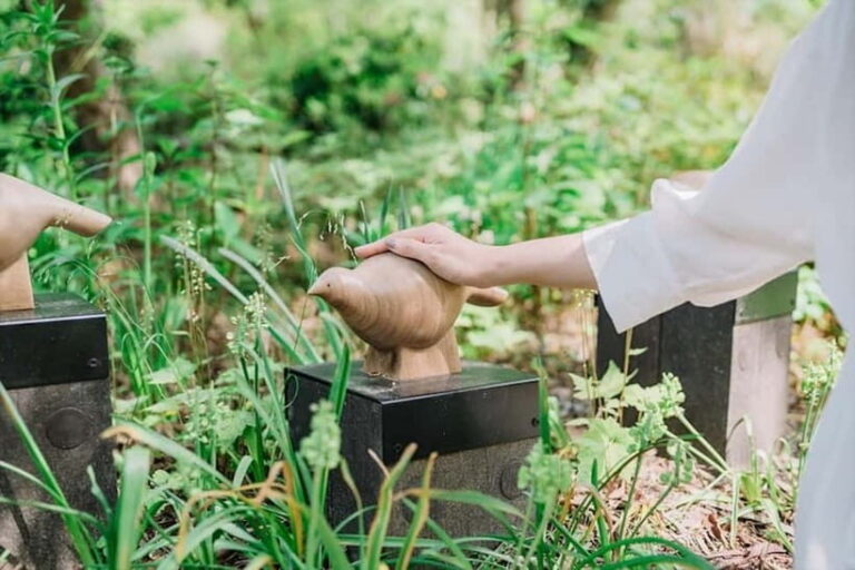 Kobe: Rokko Forest Sound Museum Admission Ticket - Practical Tips for Visiting