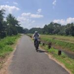 Kochi to Thattekkad - What to Expect and Practical Tips