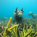 Koh Kood or Koh Rang: Snorkeling trip with lunch & transfer - The daily schedule in detail