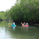Koh Lanta: Paddle Serenity & Thung Yee Pheng's Mangrove Maze - Practical Details and Tips