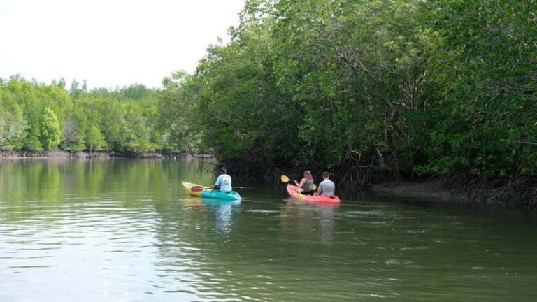Koh Lanta: Paddle Serenity & Thung Yee Pheng's Mangrove Maze - Practical Details and Tips
