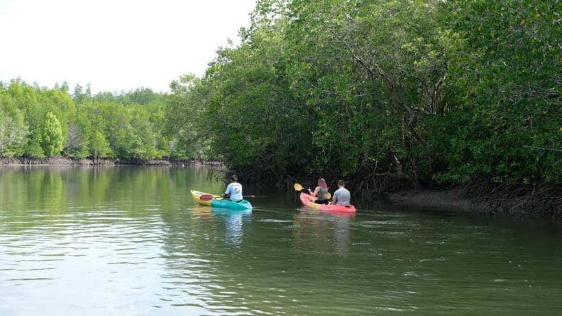 Koh Lanta: Paddle Serenity & Thung Yee Pheng's Mangrove Maze - Practical Details and Tips