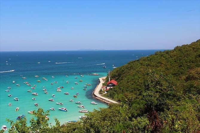 Koh Larn Trip from Pattaya including Lunch at the beach - Practical Tips for Making the Most of Your Trip