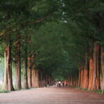 Korea: Trip and Itinerary Planning - Travel Effortlessly! - What Does the Itinerary Planning Cover?