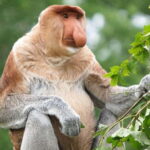 Kota Kinabalu: Mari Mari Village & Bongawan Cruise Package - How the Itinerary Breaks Down