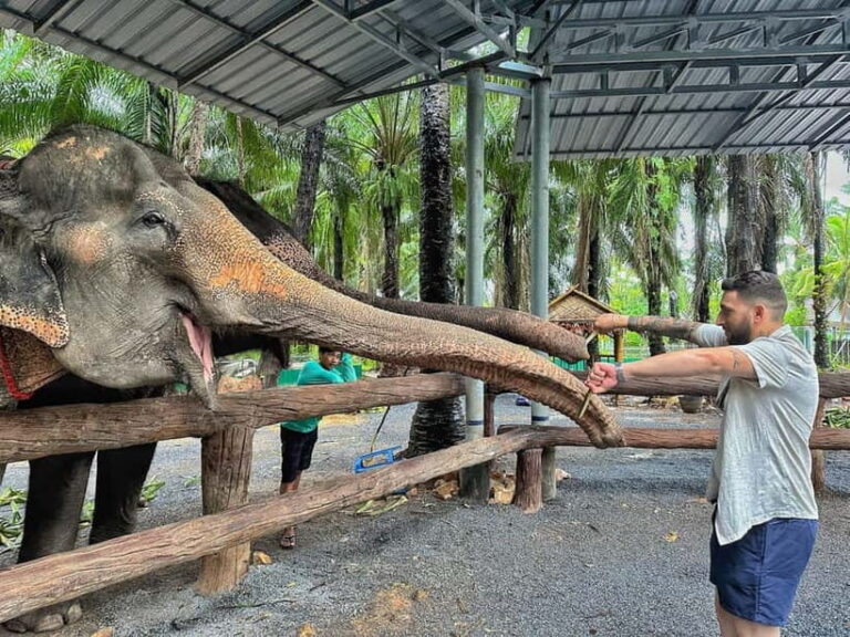 Krabi: Elephant Feeding Program with Food Preparation - An Authentic Elephant Encounter with a Heart