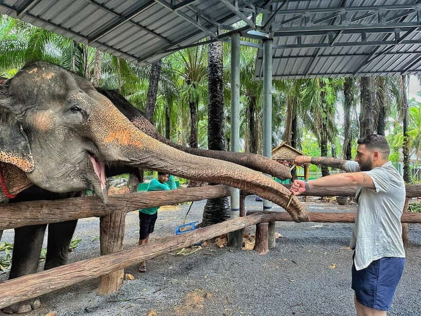 Krabi: Elephant Feeding Program with Food Preparation - An Authentic Elephant Encounter with a Heart