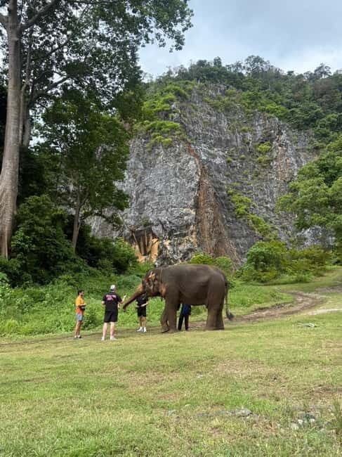 Krabi: Ethical Elephant Sanctuary & Tiger Cave Temple Tour - FAQ