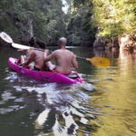 Krabi: Half-Day Kayak Adventure at Ao Thalane - The Value & Who Will Love This Tour