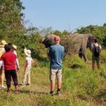 Kulen Elephant Forest and Tonle Sap Lake by Private Tour - A Closer Look at the Tour Experience