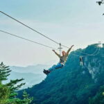 Kumamoto: Dolphin Watching and Zipline Experience Tour - Exploring the Itinerary in Detail