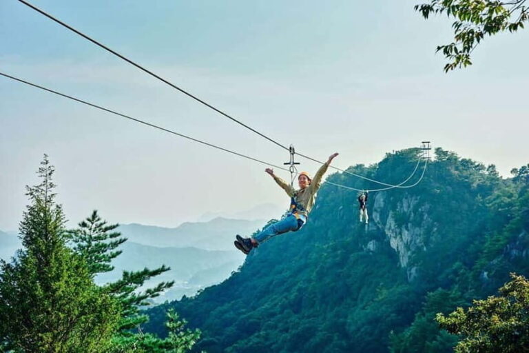 Kumamoto: Dolphin Watching and Zipline Experience Tour - Exploring the Itinerary in Detail