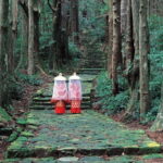 Kumano Kodo Hiking Day Tour from Osaka - Is This Tour Worth It?