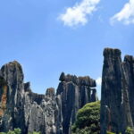 Kunming: Stone Forest, Roast Duck Lunch and City Tour - The Experience from the Perspective of a Traveler