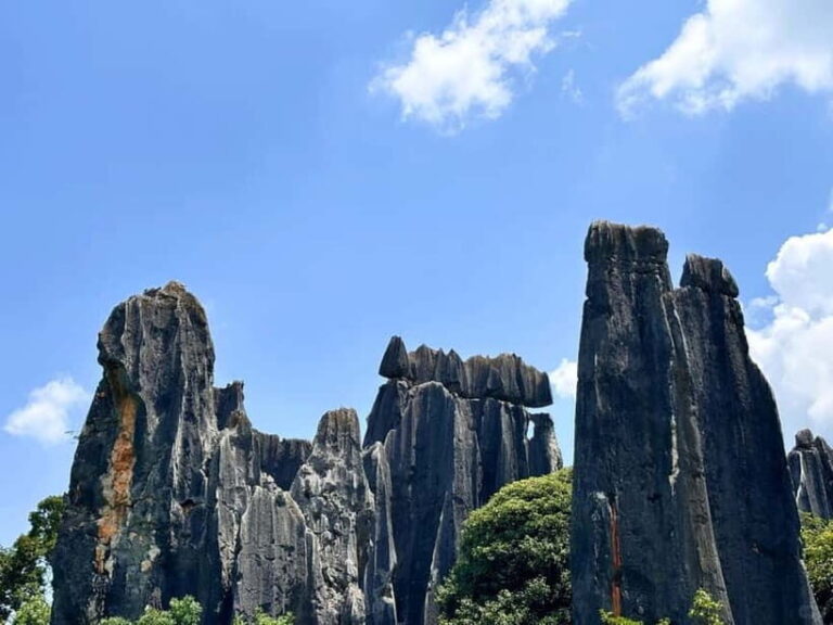 Kunming: Stone Forest, Roast Duck Lunch and City Tour - The Experience from the Perspective of a Traveler