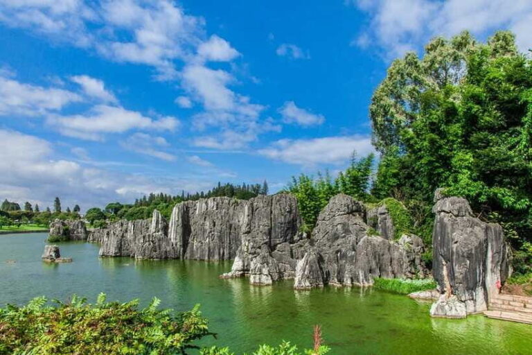 KunmingStone Forest Private Tour:Scenic Walks+Guide Insights - What to Expect from the Tour Itself