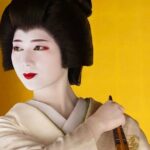 Kyomai Dance by Maiko Geiko and Visits of Gion Art Museum Kyoto - Who Would Love This Tour?