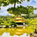 Kyoto and Nara Customised Full Day Private Tour with Pickup - Detailed Breakdown of the Experience