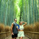 Kyoto: Arashiyama Bamboo Forest, Monkeys, Matcha & Temple Tour - Why This Tour Offers Great Value
