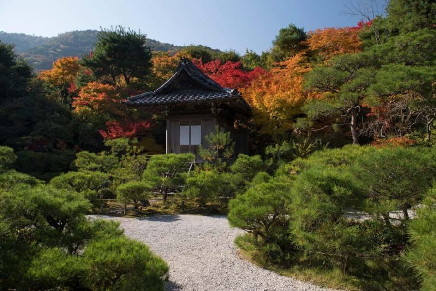 Kyoto: Arashiyama Bamboo, Togetsukyo bridge, Sanso, and more - Who Will Love This Tour?