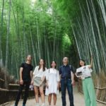 Kyoto: Arashiyama Walking Tour with Local Guide - Practical Details and Tips