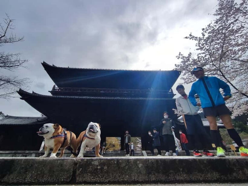 Kyoto: Daimonji Trail Hiking Tour with Historical Sites - Detailed Breakdown of the Itinerary