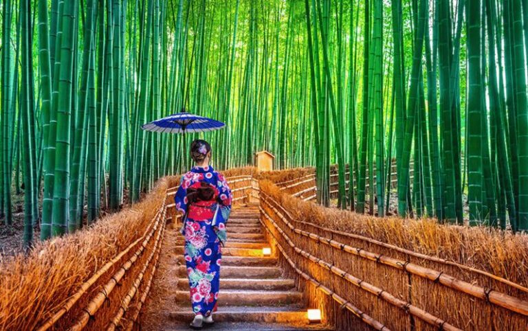 Kyoto Day Tour with Certified Tour Guide & Luxury vehicle - What Makes This Tour Stand Out