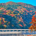 Kyoto Day Trip! Private Customizable Tour with Expert Guides - Who Would Love This Tour?