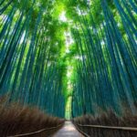 Kyoto: Early Morning Landmarks Tour with Pickup - An Honest Look at the Cost and Experience Value