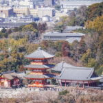 Kyoto from Above: Hike Mt. Amida with Kiyomizu Views - The Sum Up