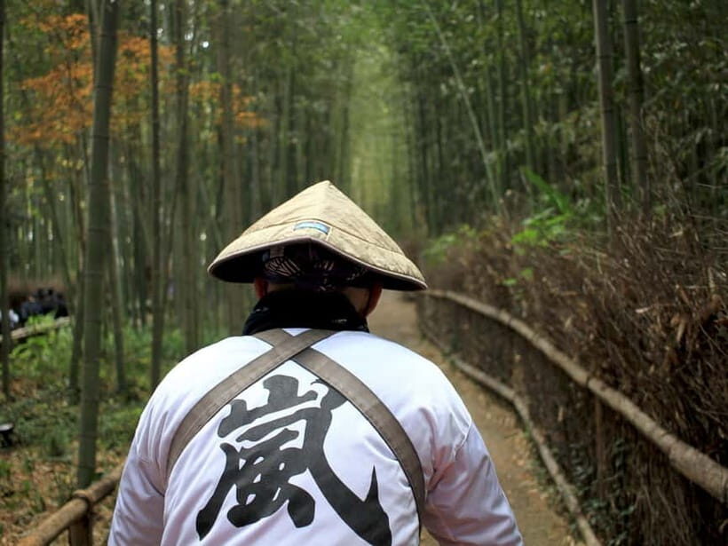 Kyoto: Full-Day Guided Tour of Kyoto's Top Highlights - Authentic Experiences Reported by Travelers