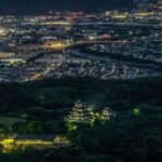 Kyoto: Helicopter Cruising Tour - Who Will Love This Tour?