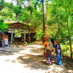 Kyoto: Kurama Temple and Mountain Legends Guided Hike - Why This Tour Works Well