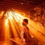 Kyoto: Light Cycles by Moment Factory with Yukata Rental - Is It Worth the Price?