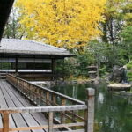 Kyoto: Nishi Honganji, Higashi Honganji, and Ginkakuji Tour - What to Expect and Practical Details