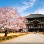 Kyoto/Osaka: Nara Customizable Self-Guided Tour with Driver - Final Thoughts: Who Will Love This Tour?