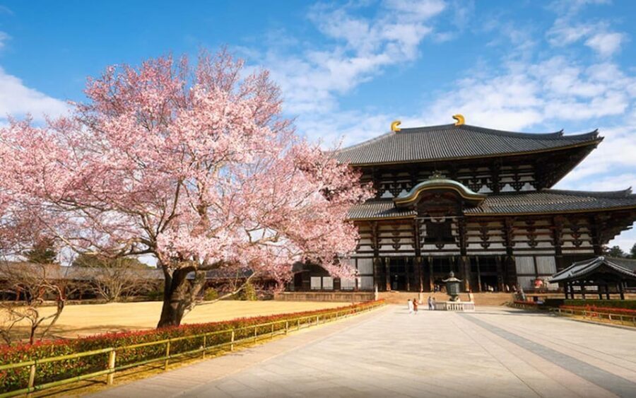 Kyoto/Osaka: Nara Customizable Self-Guided Tour with Driver - Final Thoughts: Who Will Love This Tour?