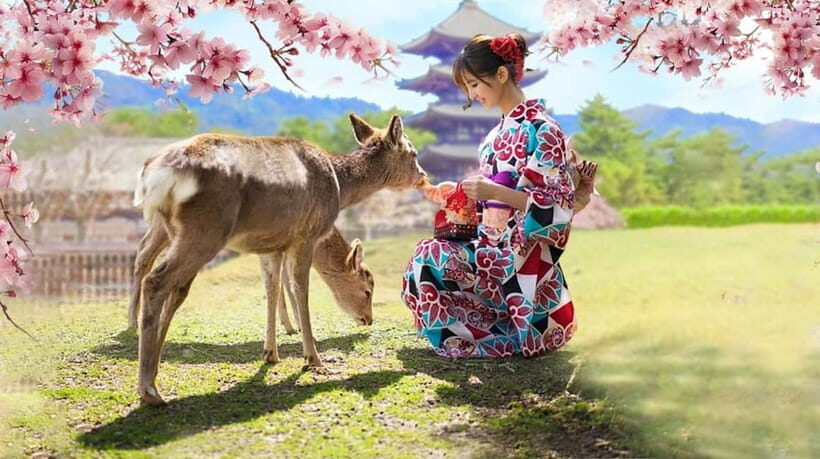 Kyoto/Osaka: Nara, Fushimi Inari Taisha, Arashiyama Bus Tour - Transportation and Practical Details