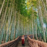 Kyoto: Private Customizable Day Tour with Guide and Vehicle - How the Experience Adds Value