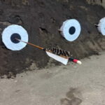 Kyoto Private Guided Tour & Japanese Archery Experience - Who Will Love This Tour?