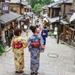 Kyoto: Private Highlights Tour with Guide and Luxury Vehicle - What’s Included and What’s Not