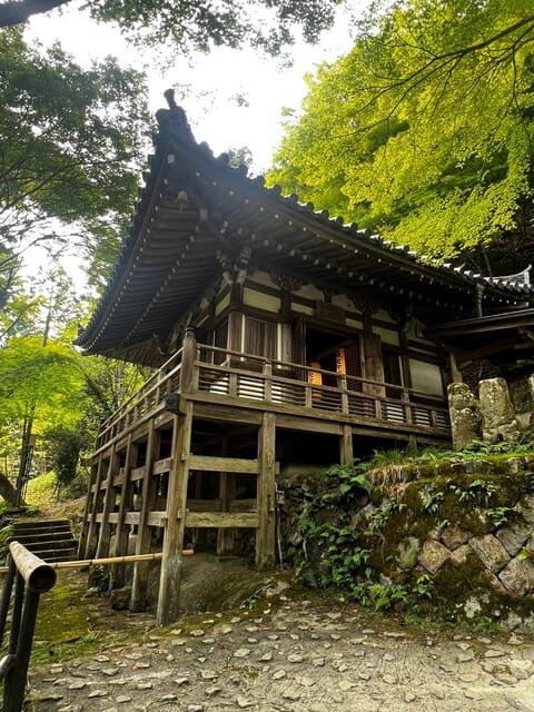 Kyoto: Private tour, Arashiyama, Bamboo Forests and Sacred Temples - Who Is This Tour Best For?