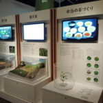 Kyoto: Tea Museum and Tsuen Teahouse Guided Tour - A Closer Look at the Tour Itinerary