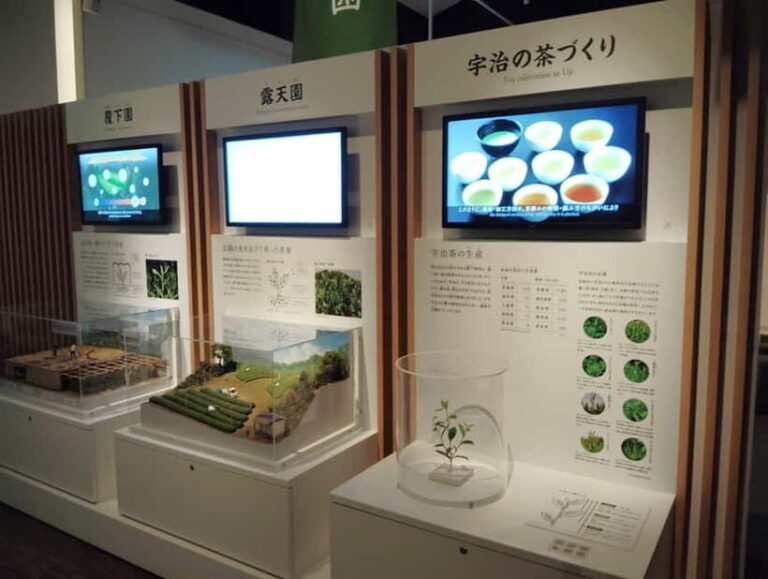 Kyoto: Tea Museum and Tsuen Teahouse Guided Tour - A Closer Look at the Tour Itinerary