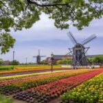 Kyushu 9-hour chartered day trip Nagasaki - Who Should Consider This Tour?